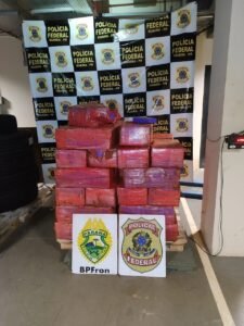 PMPR apreende 679 kg de maconha em GuaíraPR