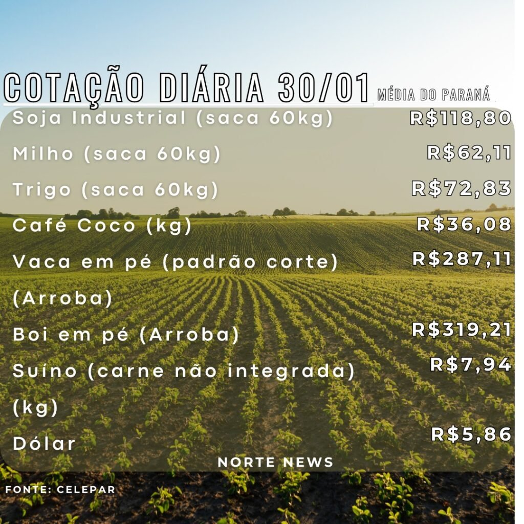 WhatsApp Image 2025-01-30 at 11.31.05