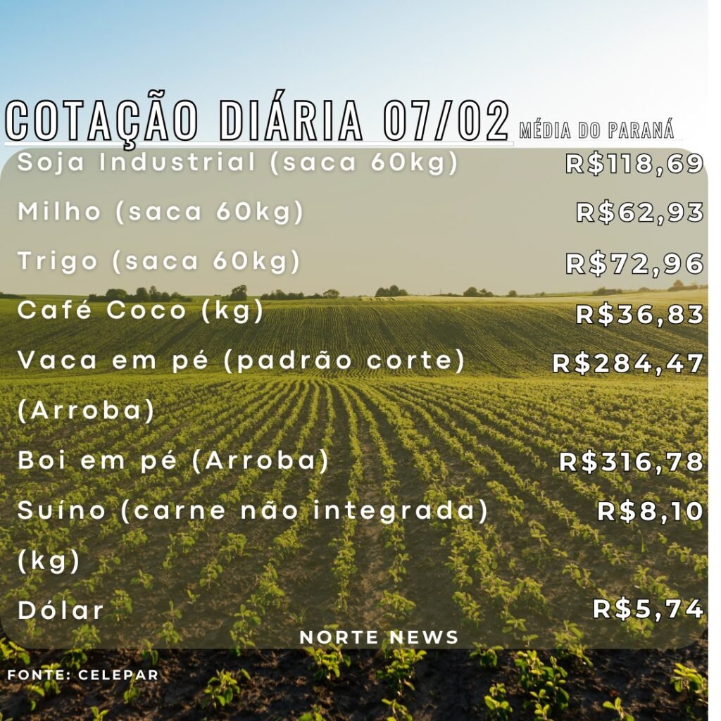 WhatsApp Image 2025-02-07 at 13.32.43