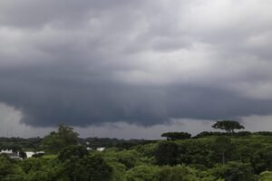 Foto: Gilson Abreu/AEN